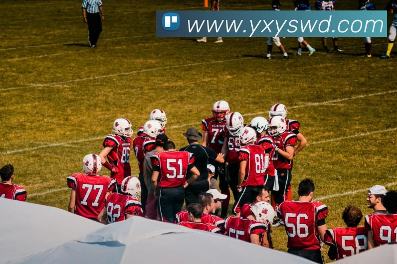 问鼎娱乐平台生态图